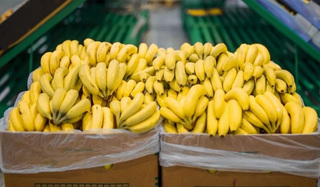 Salta solicitó a Nación una reunión para analizar la nueva normativa bananera