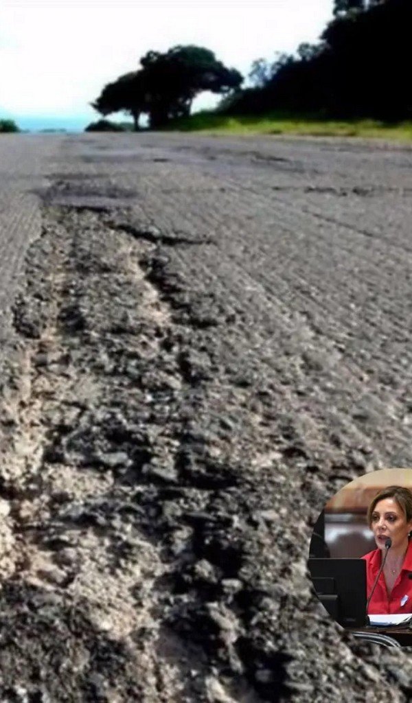 Recaudación millonaria y desidia: Flavia Royón denunció que el Gobierno usó solo el 25% del impuesto a los combustibles en rutas y mandó el resto a plazo fijo