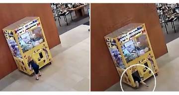 Un niño se metió en una máquina de peluches y quedó atrapado