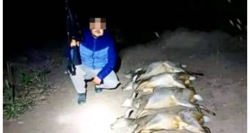 Secuestran armas en un allanamiento en la causa contra el cazador de corzuelas en Tafí Viejo