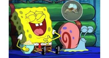 Después de Patricio Estrella, el Conicet encontró a Gary, el caracol mascota de Bob Esponja