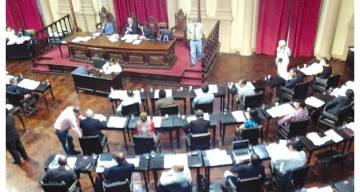 La Cámara de Diputados debate un proyecto clave sobre cannabis medicinal