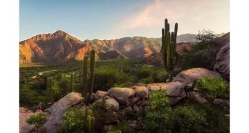Salta se convierte en el segundo destino nacional más buscado para el feriado largo de octubre