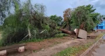 Temporal en el norte salteño: anegamientos, ríos crecidos y caída de árboles