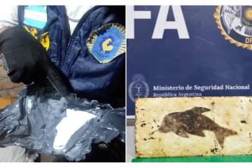 Alarma en Santiago del Estero: la cocaína con el sello del delfín ya llegó a la capital provincial